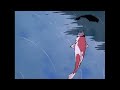 tarkan - arada bir (slowed + reverb)