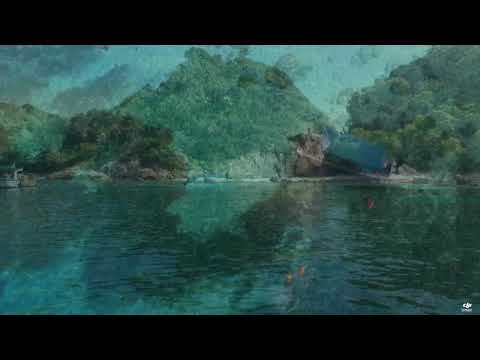 Falcon Star   Snorkeling Redang by Sharina Razali.