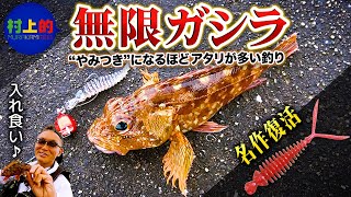 【村上的】#198 無限にカサゴを釣る方法！お手軽ライトロックゲーム