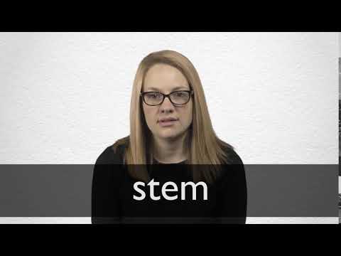 STEM definition in American English