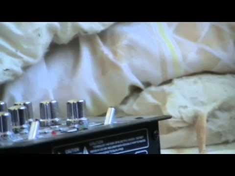 De la Leshend Leshend Rap [ Feat MC Quajen]