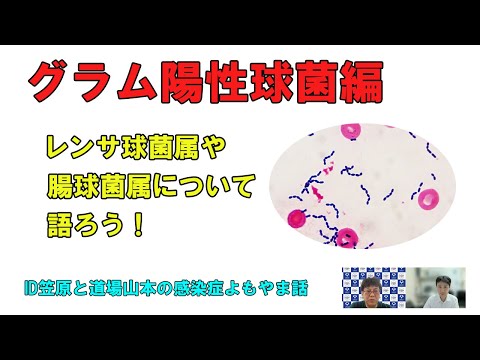 看護学科 腸球菌属、レンサ球菌属について語ろう