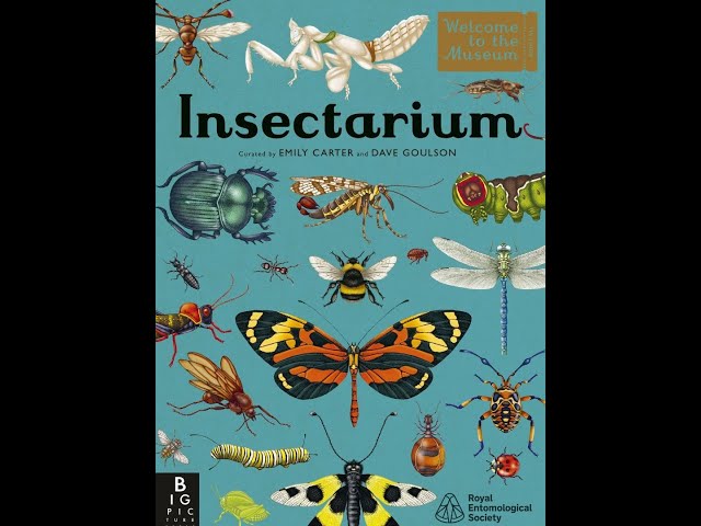 Vídeo relacionado con Insectarium: A lavishly illustrated guide to the world of insects in the bestselling Welcome to the Museum series
