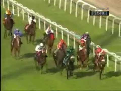 1st Alfkona - Austria Preis 2014