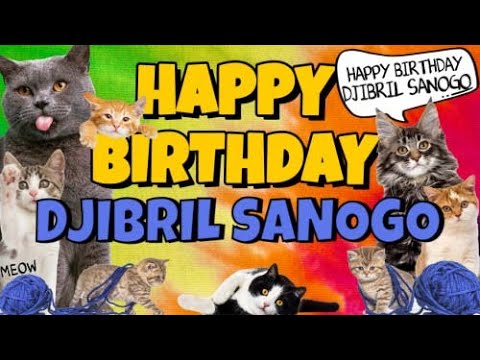 Happy Birthday Djibril Sanogo! Crazy Cats Say Happy Birthday Djibril Sanogo (Very Funny)