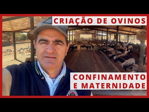 , title : 'CRIAÇÃO de OVINOS - CONFINAMENTO e MATERNIDADE'