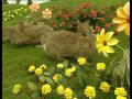 Teletubbies Favoritsaker Del 13 Svenska