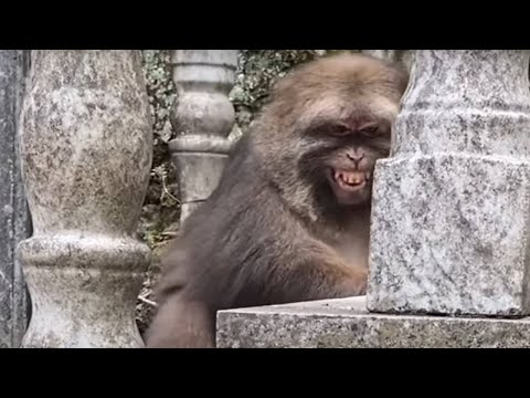 The Most Romantic Encounter Is When You Just Look Up And He Just Turns Around