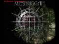 Meshuggah - Corridor of Chameleons