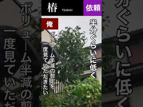 スマートガーデン: 庭師に最適なアプリケーションをご紹介します!  庭園