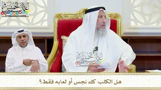 527 - هل الكلب كله نجس أو لعابه فقط؟ - عثمان الخميس