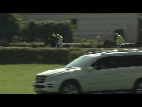 NE, 16. 8. 2020, 7. dostih - STEEPLECHASE CROSS COUNTRY VELKÁ CENA GALOPP NEWS - VELKÁ CENA NETOLIC