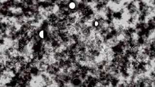 Youth Lagoon - &quot;Daisyphobia&quot; (Audiovisual Projection Music Video HD)