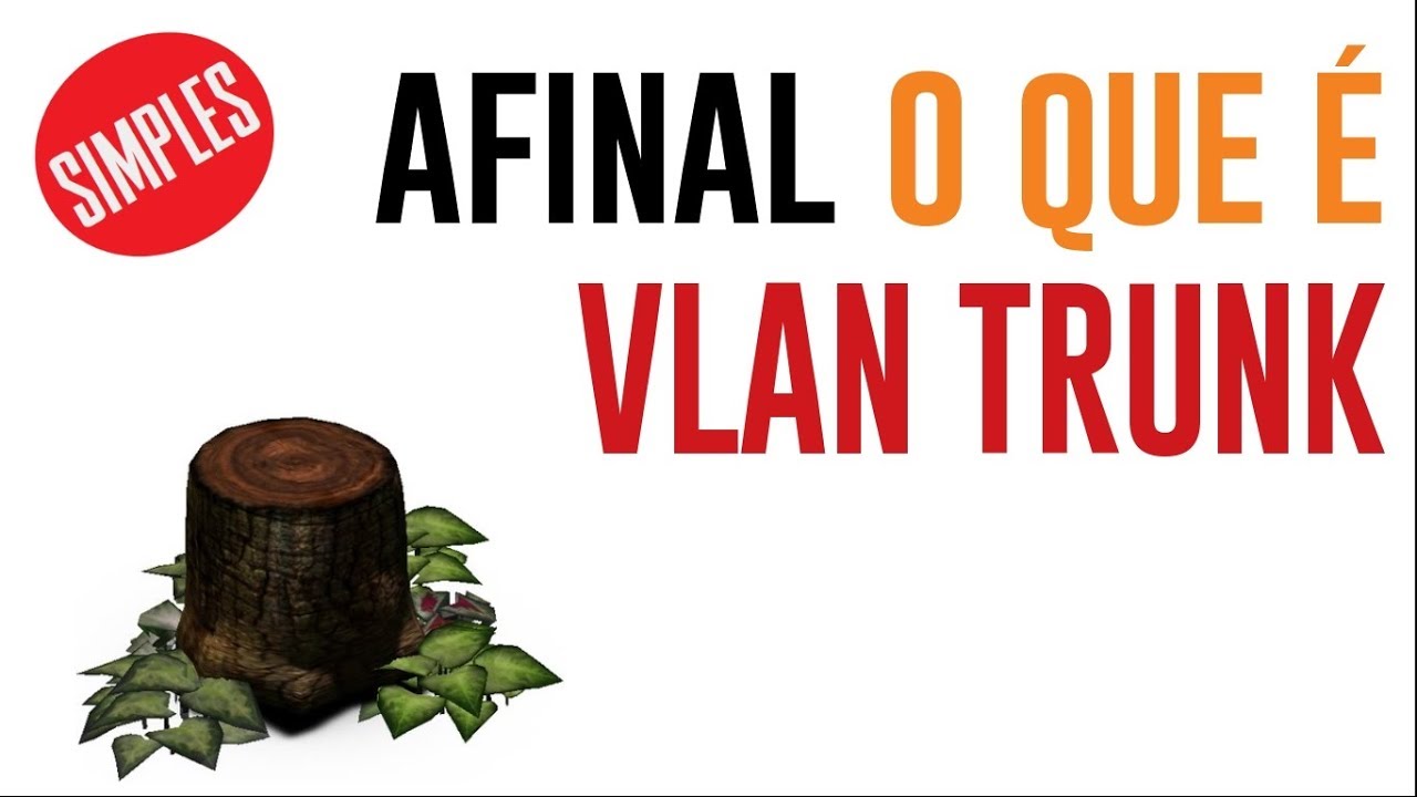 Afinal o que é VLAN Trunk (IEEE 802.1Q)
