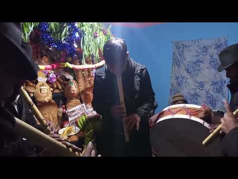 Alma pinkillada omasuyos Santiago de Huata 2025