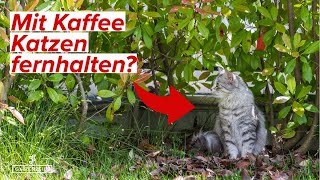 Katzen mit Kaffeesatz aus dem Garten fern halten -  Klappt das wirklich?