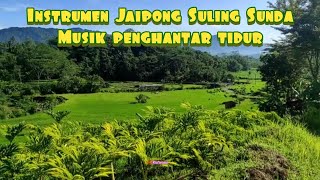 Download lagu Instrumen Jaipong Suling Sunda | Musik Penghantar Tidur mp3 Download lagu Instrumen Jaipong Suling Sunda | Musik Penghantar Tidur mp3