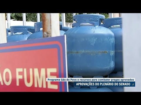 Senado aprova MPs do Gás do Povo e de crédito para combate a pragas