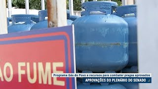 Senado aprova MPs do Gás do Povo e de crédito para combate a pragas