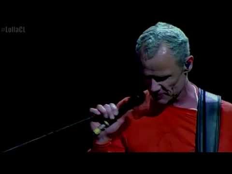 Red Hot Chili Peppers - Wet Sand - Lollapalooza Chile 2014