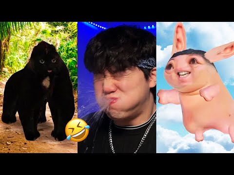 BEST JeffreyX Funny Try Not To Laugh Challenge Compilation ???? 2024 Part 10