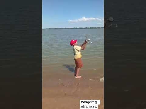 Camping chajari entre rios