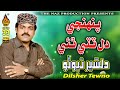 PENHJI DIL TUTE THAYE Dilsher Tewno Album 33 Hi Ress Audio Naz Production