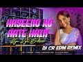 Haseeno Ko Aate Hai Kya Kya Bahane Dj Hindi Song Unique Style Dance Mix DJ CR EDM REMIX