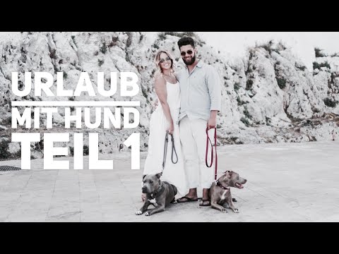 Urlaub mit Hund in Italien Teil 1: Checkliste / Vorbereitung  / Autoreise