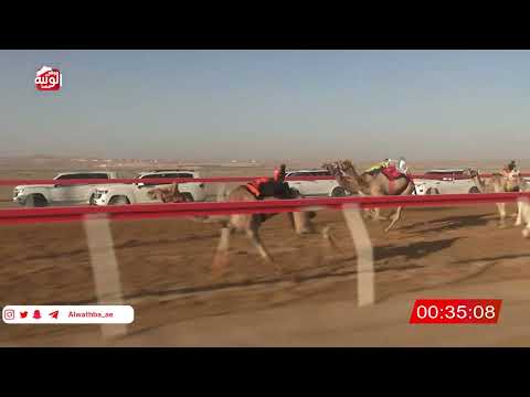   ش 16 (فهد) لـ محمد سعيد المر النعيمي 2:05 , شارة الصندوق 2026/06/06 فطامين الروضة   