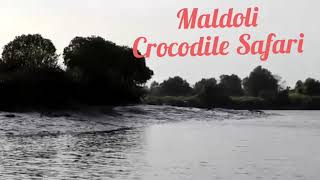 preview picture of video 'Crocodiles Safari..'