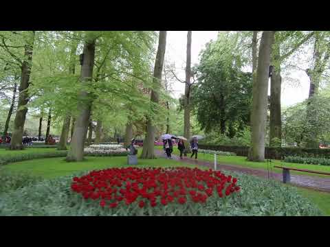 Keukenhof 2019-04-28 video 4k VID_20190428_114502_0016.MP4