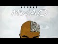 Mphako_Bengdakiwe Remix ft Mthinay Tsunami & various artists