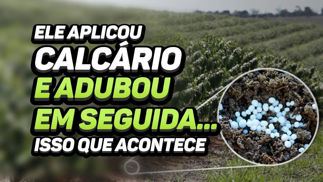 APLICAR CALCÁRIO E ADUBAR EM SEGUIDA, PODE?