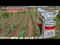 क्या खास है नई NPK 12 32 16 में Iffco NPK 12 32 16 Nitrogen Phosphorus P