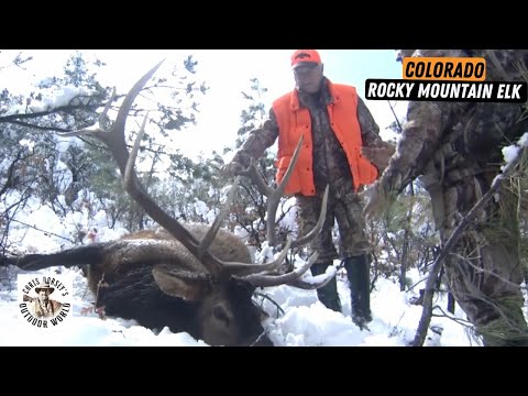 High-Altitude Elk Hunt in Fresh Snow