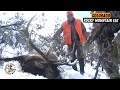 High Altitude Elk Hunt In Fresh Snow