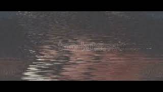 DERUSZ — too late. [Audio]