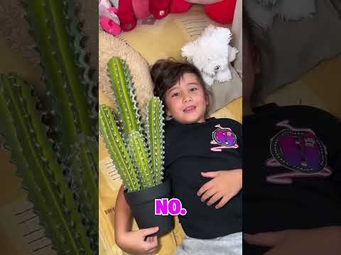 A MI SOBRINA LE ENCANTAN LOS CACTUS 🌵