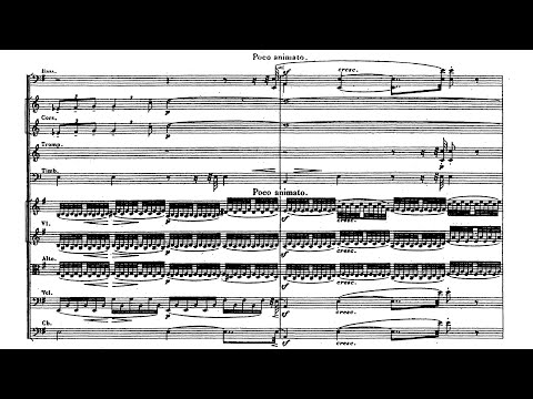 Charles-Marie Widor: Symphony No. 3 For Organ and Orchestra Op. 69 (Tracey, Tortelier)