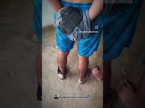 OPERAÇÃO DA POLÍCIA CIVIL DO PIAUÍ CONTRA O TRÁFICO DE DROGAS NA CIDADE DE COLÔNIA DO GURGUEIA