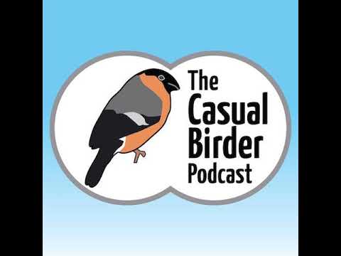 Feeding Garden Birds with the BTO's Claire Boothby