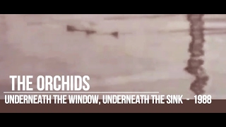The Orchids - Underneath the Window, Underneath the sink