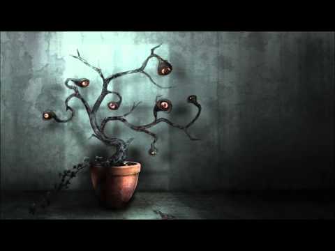 Outer Signal vs Creative Mind - Beyond Imagination