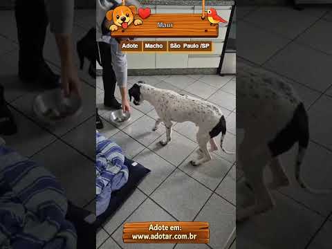 Vídeo de Maui