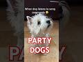 Dogs That Dance and Sing! #animalcomedy #funnyvideos #dog