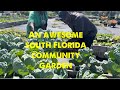 Tour Of A Community Garden In South Florida