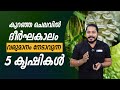 5 Low Cost Farming Crops in Malayalam | Low Cost - High Profit Crops | More Profitable Crops