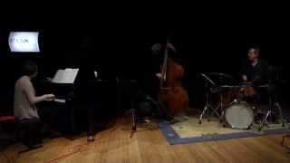 Kris Davis Trio - Live at Schlachthof, Wels, Austria, 2015-01-27