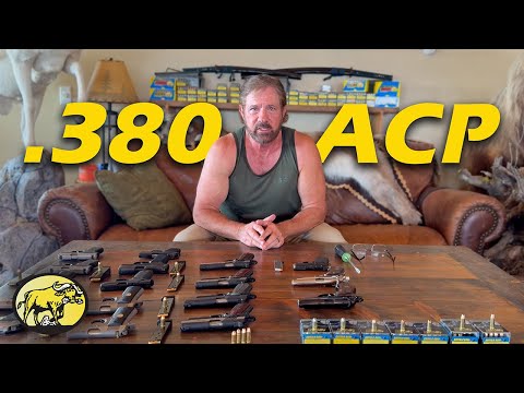 .380 ACP for self-defense: Why bullet choice matters
